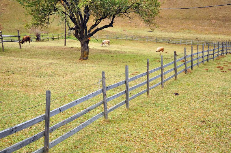 Wooden Farm Fencing