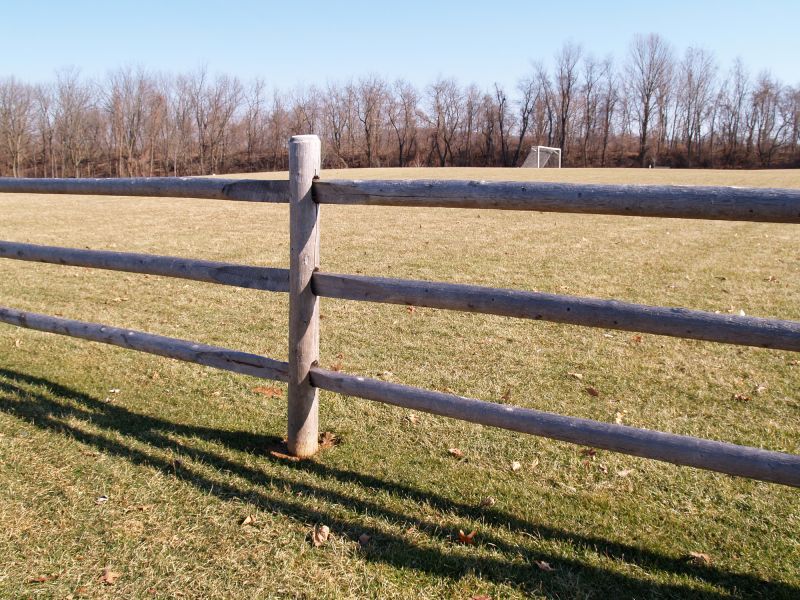 Fence Line Preparation